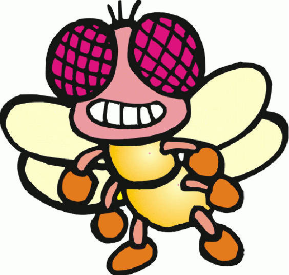 蒼蠅