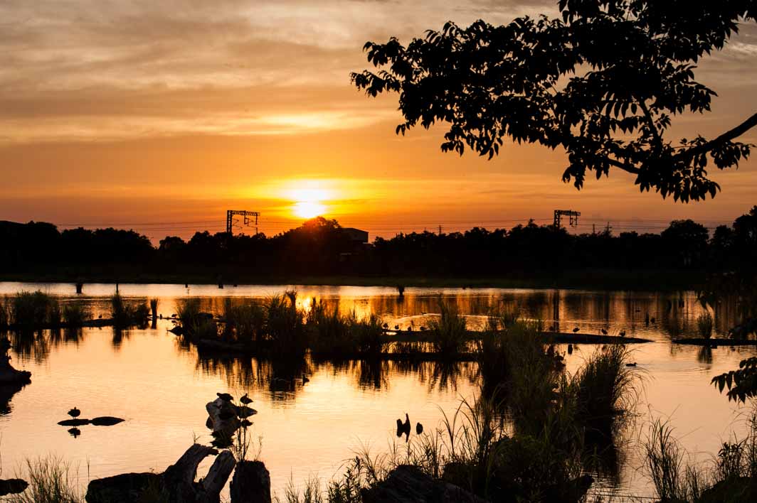 羅東林場貯木池的夕陽倒影