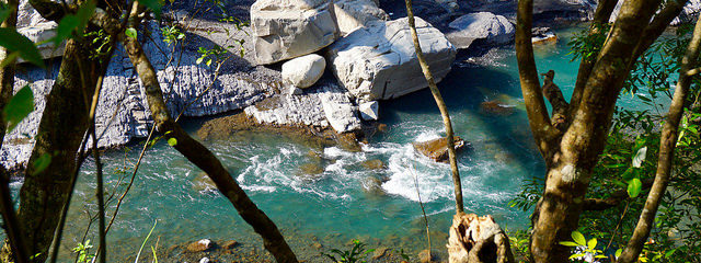 民宿旅遊資訊分享